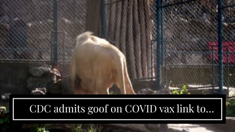 CDC admits goof on COVID vax link to heart inflammation in feds' second recent FOIA botch