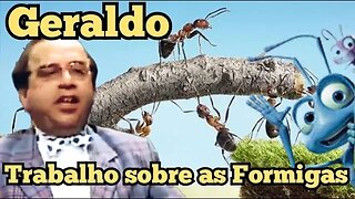 Escolinha do Professor Raimundo; Geraldo, trabalho sobre as formigas. 👀