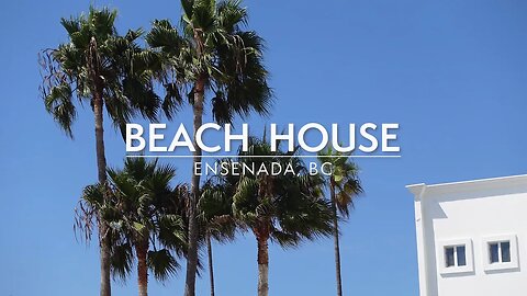 Beach House | Relaxing Palm Trees in the Summer Breeze, 4K Zen Short Video