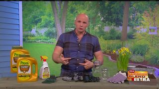 Blend Extra: Spring Yardwork Made Easy