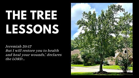 The Tree Lessons #godisfaithful #encouragement #faith