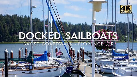 Boardwalk Serenity: Docked Sailboats, Seagulls, and Tranquil Bells in Florence, Oregon (4K)