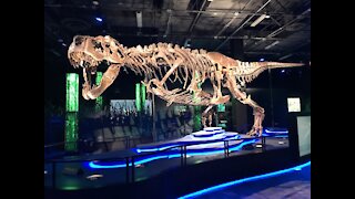 VIRTUAL TOUR! Meet Victoria, the world's largest traveling t rex, here in Arizona - ABC15 Digital