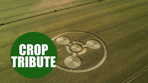 Crop circle created is a tribute to Novichock victim