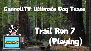 CannoliTV Video Library: Relaxing and Calming Dogs Trail Run - 07 #dogtrainingtips #cleverdog #doggo