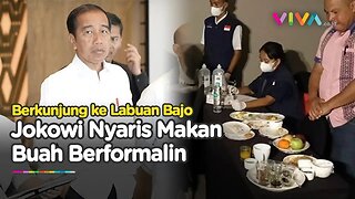 WADUH! Jokowi Nyaris Makan Buah Berformalin di Labuan Bajo