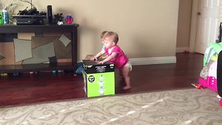 Twin babies compete in adorable box race