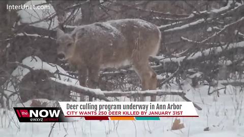 Ann Arbor's expanded deer hunt runs through end of month