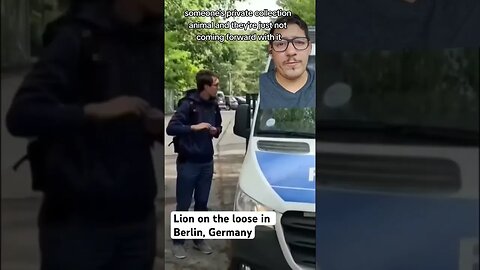 Lion loose in Germany????