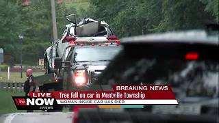 Woman killed after a tree falls on her car with an infant in the back seat