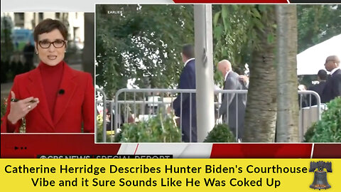 Catherine Herridge Describes Hunter Biden's Courthouse Vibe and it Sure Sounds Like He Was Coked Up