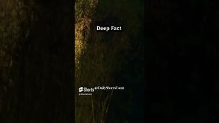 Deep Fact #factshorts #shortvideo #deep #short