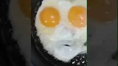 The Singing Egg 🍳😂 #Funny #Egg