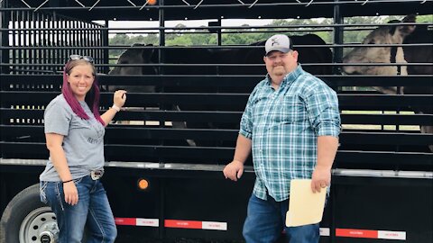 Congratulations “Sandy Branch Hereford Farm” Purchasing Toby 331G and Rib Eye 12F