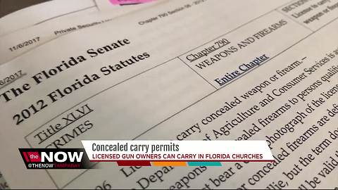 More on concealed carry permits