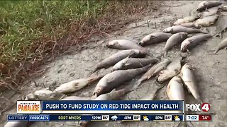 Health experts, researchers to study the long-term health impact of red tide on people
