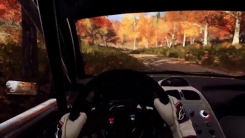 DiRT Rally 2 - 206 Stumbles at North Fork Pass