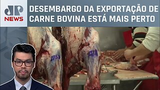 Laboratório canadense comprova que caso de “vaca louca” é atípico