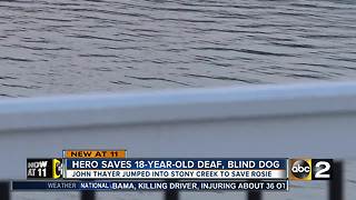 Hero saves 18-year-old deaf, blind dog