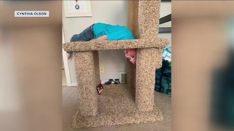 Waukesha boy rescued after getting head stuck in a cat scratching post