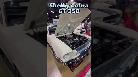 Stunning Shelby Cobra GT350! #dragrace