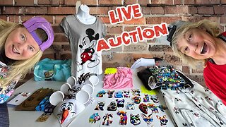 Live Auction - Lots Of Disney Collectibles & TY Beanies!