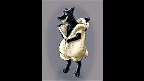 Who is the wolf in sheeps clothing?