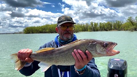 Master Angler Walleye Release