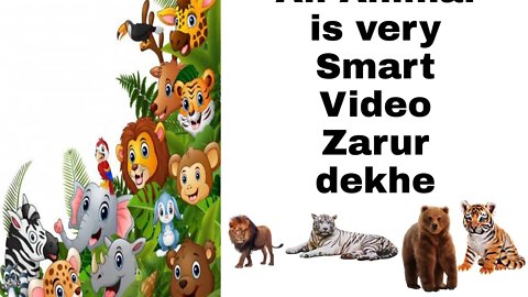 Animals for Kids Animated Video Bachho ke Liye