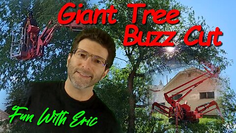 This is how a Giant Tree gets a Buzz Cut!