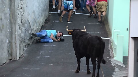 Best Of Street Bulls - Marradas Clip 5/2016 - Terceira Island Bullfights