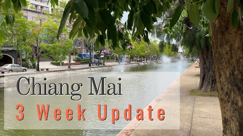 Living in Chiang Mai Thailand 3 week Update!
