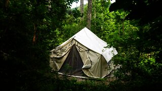 MTV Cribs: Off Grid Wall Tent Edition. Living and Foraging mushrooms in the Wild. Bushcraft #shorts