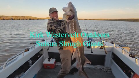 Suisun Slough Giants