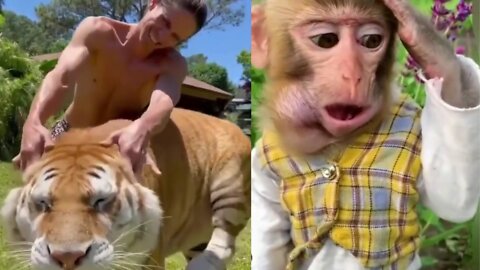 Funniest Animals Video That Will Make You Laugh - Animals Funny Moments