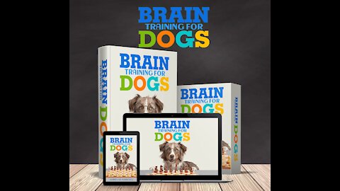 Brain Training For Dogs - Unique Dog Training