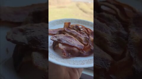 Breakfast Shorts... Bacon 🥓