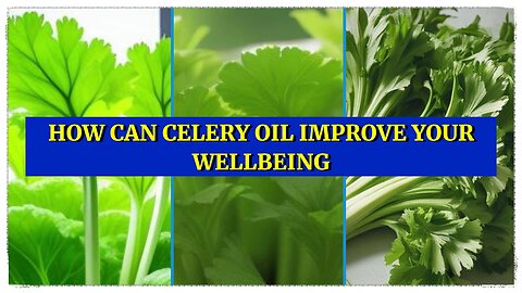 Celery Oil: A Natural Boost for Your Health