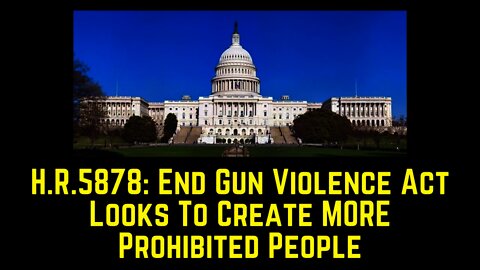 HR5878: End Gun Violence Act of 2021 to Add MORE Prohibited People