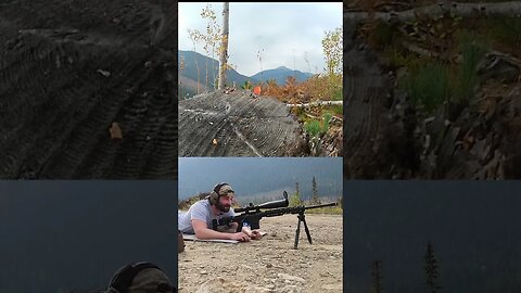 6.5 Creedmoor vs Quarter at 300 Meters?! #shorts