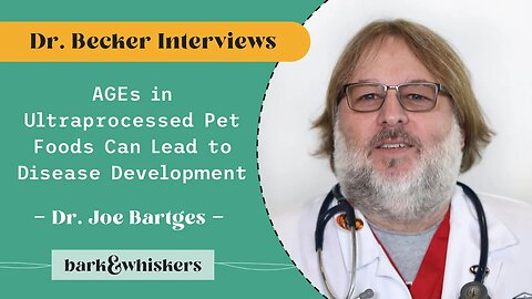 AGEs in Ultraprocessed Pet Foods Can Lead to Disease Development With Dr. Joe Bartges