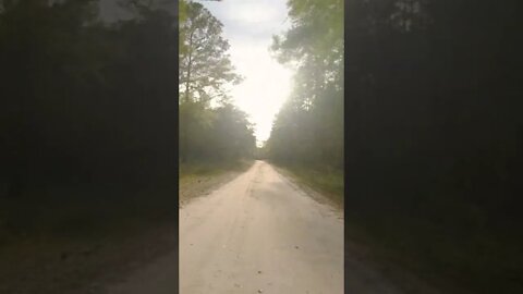 Moto ride through northern Florida short 2 - music by dubonacci