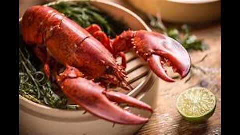 Red Lobster México _ Red Lobster Seafood Restaurants