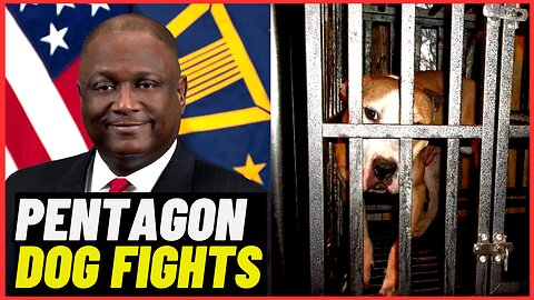 DOG Fighting ring ran by PENTAGON DOD Official