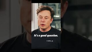 What do you do? Elon Musk