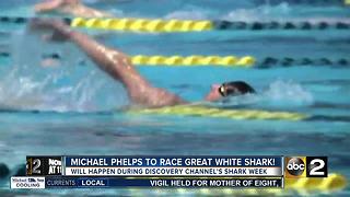 Michael Phelps jumps back into the water to race a great white shark