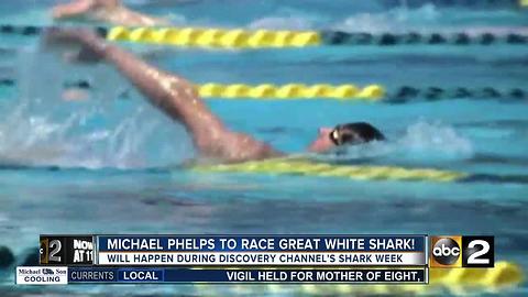 Michael Phelps jumps back into the water to race a great white shark