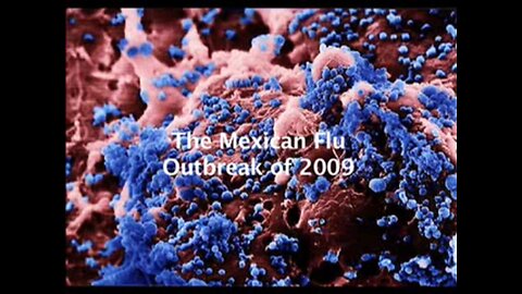 Mexican Swine Flu Outbreak 2009 SPECIAL REPORT by Dr. Leonard G. Horowitz