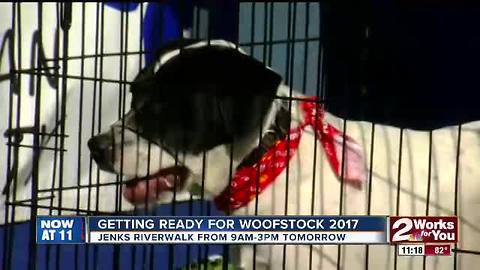 Woofstock 2017