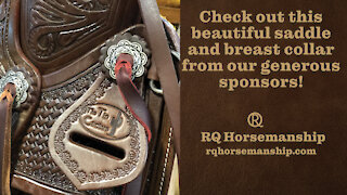 Check Out This Beautiful Saddle and Breast Collar from Our Generous Sponsors!